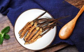 冬蟲(chóng)夏草有何藥用價(jià)值，蟲(chóng)草有啥子作用