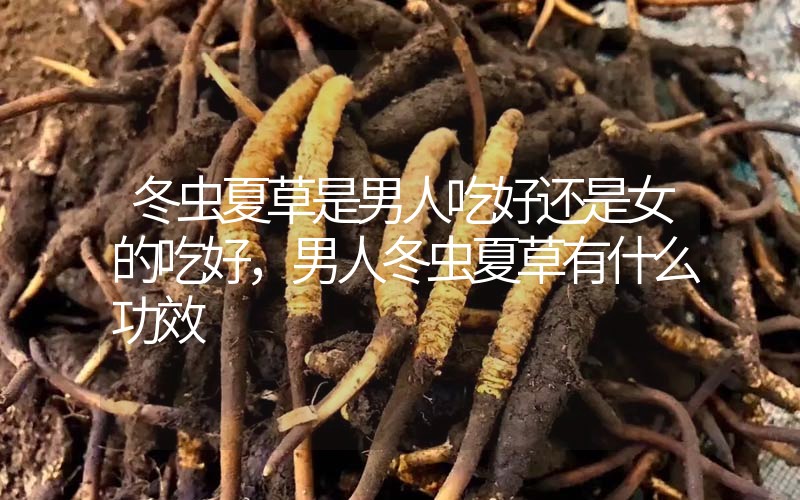 冬蟲夏草是男人吃好還是女的吃好，男人冬蟲夏草有什么作用