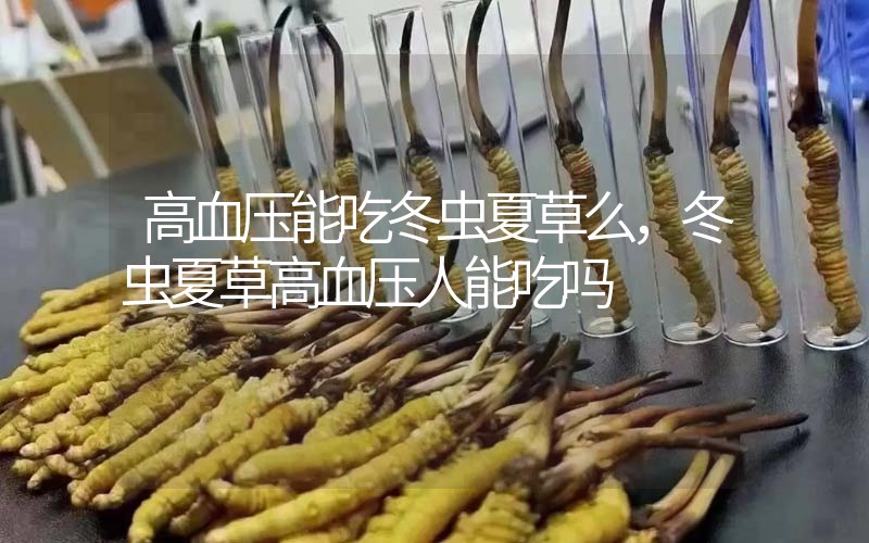 高血壓能吃冬蟲夏草么，冬蟲夏草高血壓人能吃嗎