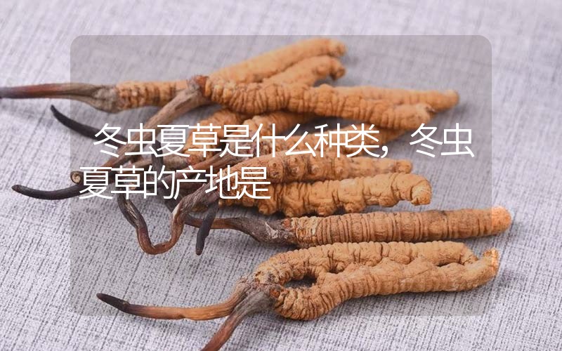 冬蟲夏草是什么種類，冬蟲夏草的產(chǎn)地是