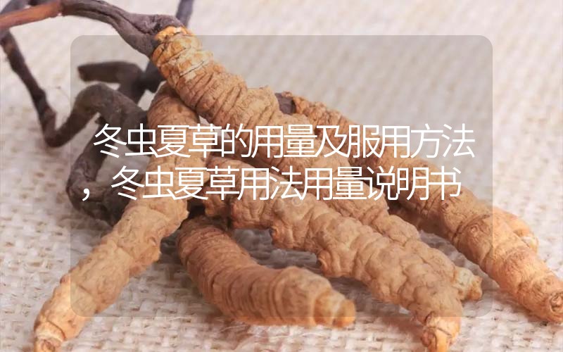 冬蟲(chóng)夏草的用量及服用方法，冬蟲(chóng)夏草用法用量