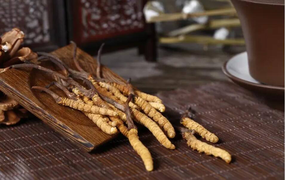 冬蟲夏草怎么選擇，冬蟲夏草選怎么樣的最好?