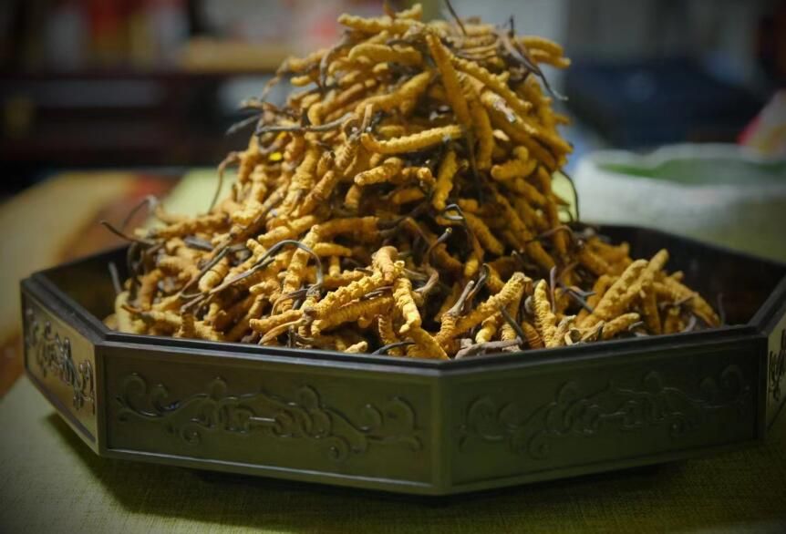 <a href=http://m.sprysprout.com/ target=_blank class=infotextkey>冬蟲夏草</a>