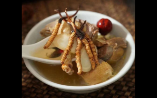 冬蟲夏草進(jìn)補(bǔ)藥膳方