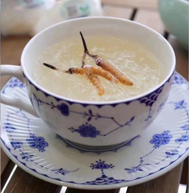 養(yǎng)生小竅門：冬蟲夏草燉什么好喝？