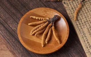 冬蟲夏草與冬蟲草：如何區(qū)分它們？