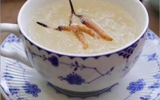 冬蟲夏草有哪些家常做法？