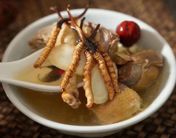 冬蟲夏草可以空腹吃嗎？