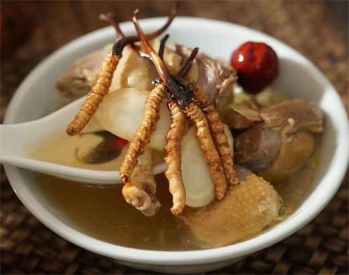 冬蟲夏草可以燉海鯽魚嗎？