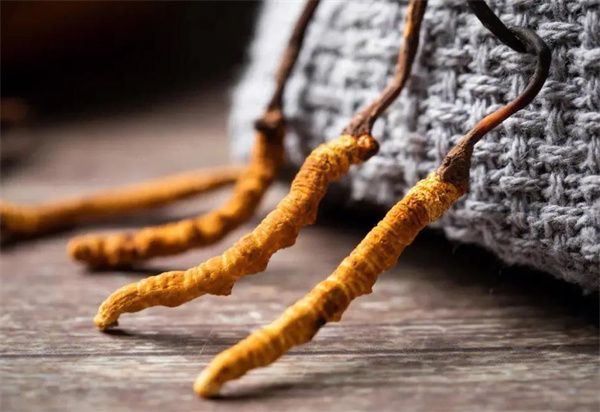 冬蟲夏草什么價(jià)格？冬蟲夏草2024價(jià)格表