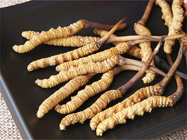 真的冬蟲夏草什么價(jià)格？影響冬蟲夏草價(jià)格波動(dòng)的3個(gè)關(guān)鍵因素