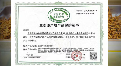 德耀娜秀 奮進(jìn)比如║熱烈祝賀！比如縣“亞貢牦?！比脒x農(nóng)業(yè)農(nóng)村部全國(guó)名特優(yōu)新農(nóng)產(chǎn)品名錄