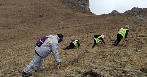 <a href=http://m.sprysprout.com/sdph/zf/ target=_blank class=infotextkey>珍峰冬蟲(chóng)夏草</a>：源自世界屋脊的養(yǎng)生瑰寶