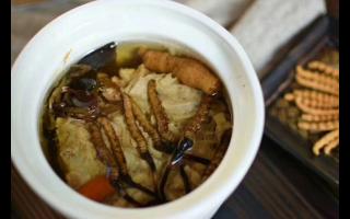冬蟲夏草怎么食用？解鎖滋補(bǔ)養(yǎng)生的正確打開方式