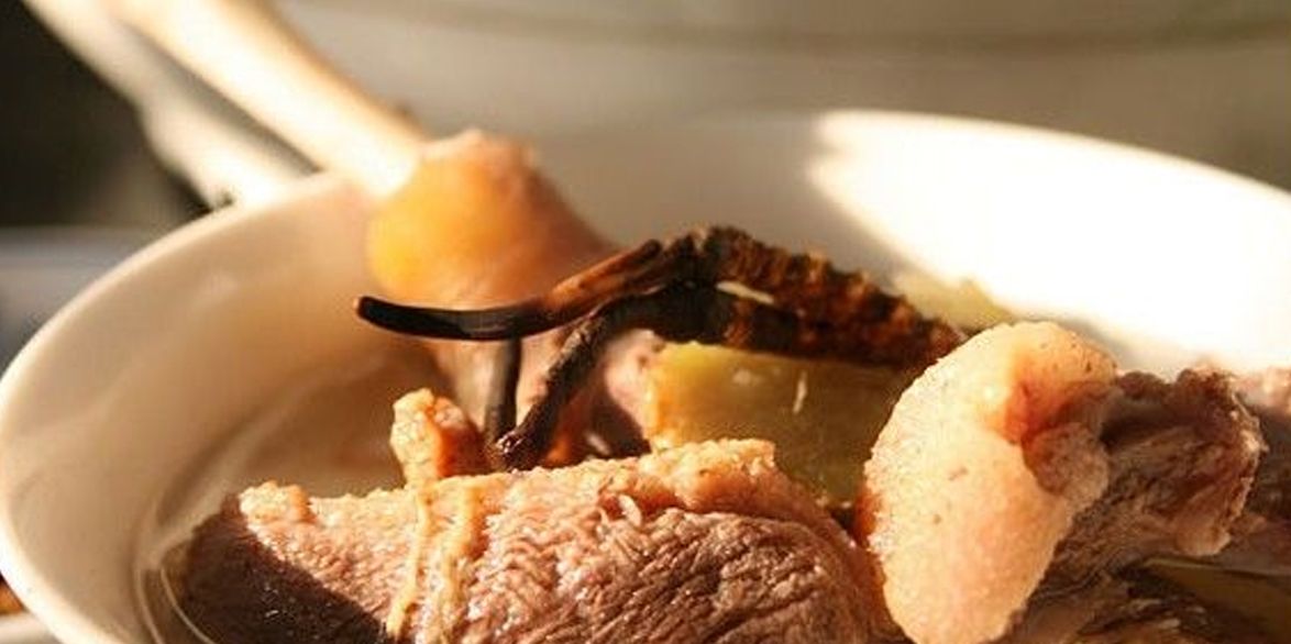 冬蟲夏草怎么吃？多種食用方法全解析