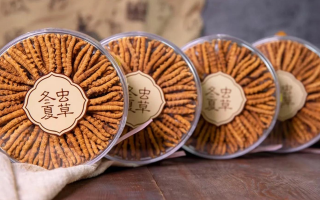 冬蟲夏草一盒多少錢？全方位剖析價格構(gòu)成