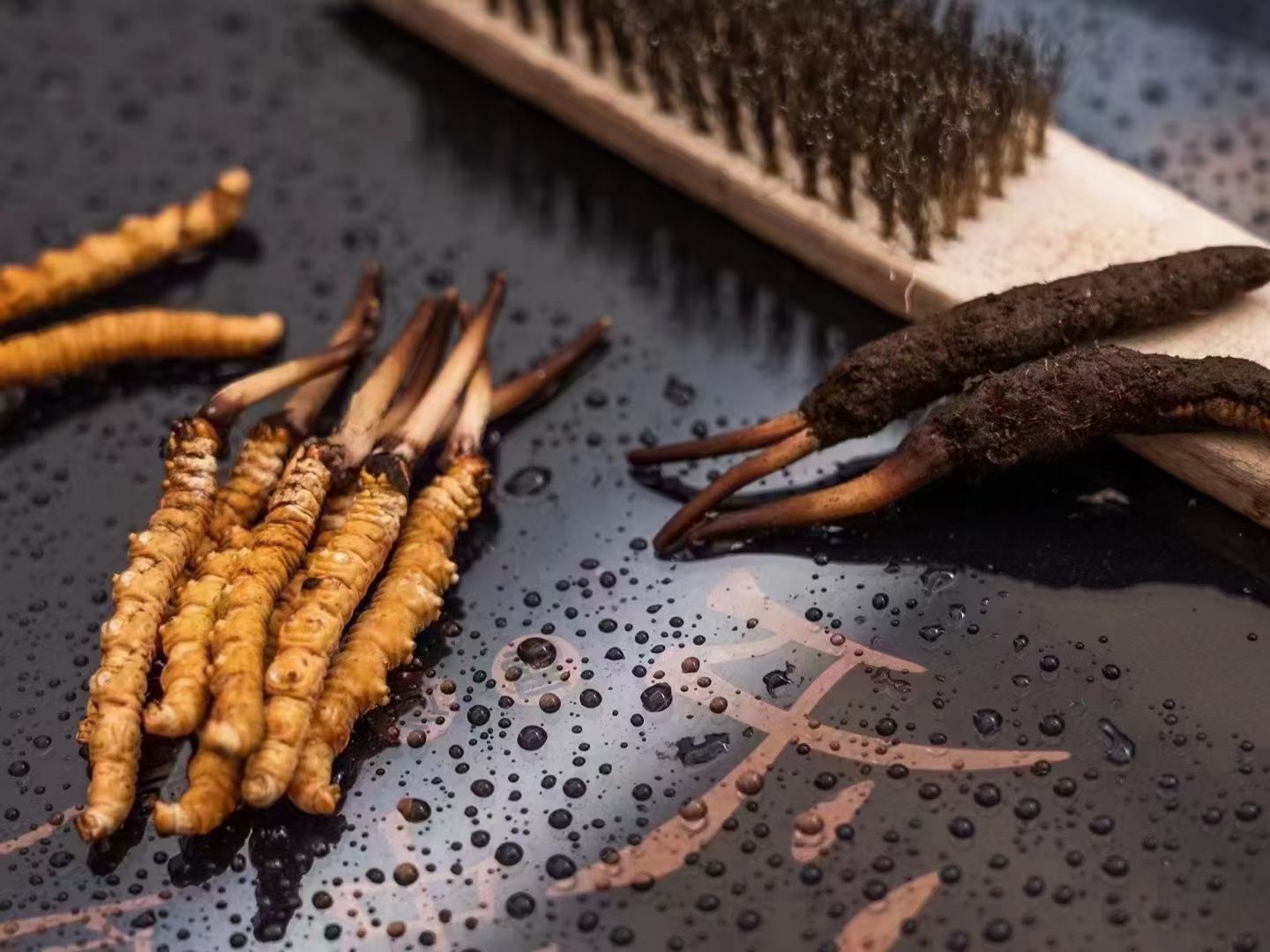 冬蟲夏草鮮草清理全指南：洗凈滋補(bǔ)好食材