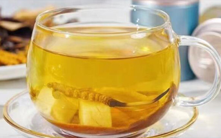 新鮮冬蟲(chóng)夏草能泡茶嗎？一文讀懂養(yǎng)生新方式