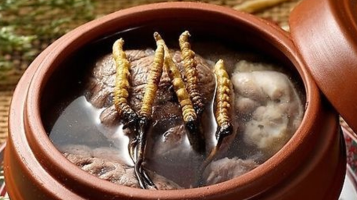 鮮冬蟲夏草吃多會上火嗎？一文解析真相