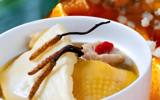 冬蟲(chóng)夏草的正確吃法：鮮蟲(chóng)草的獨(dú)特魅力與食用指南