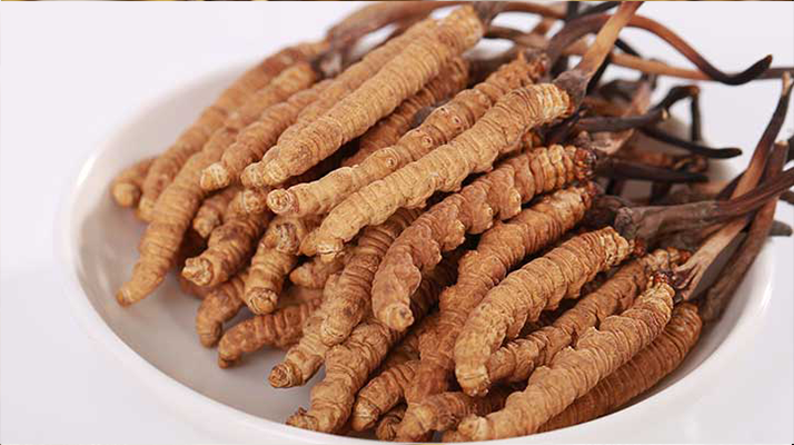 野生鮮<a href=http://m.sprysprout.com/s/nqcc/ target=_blank class=infotextkey>那曲冬蟲(chóng)夏草</a>:雪域高原的時(shí)令滋補(bǔ)珍品