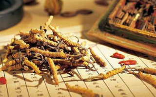 冬蟲夏草是什么長(zhǎng)成的？揭秘其獨(dú)特的生長(zhǎng)歷程