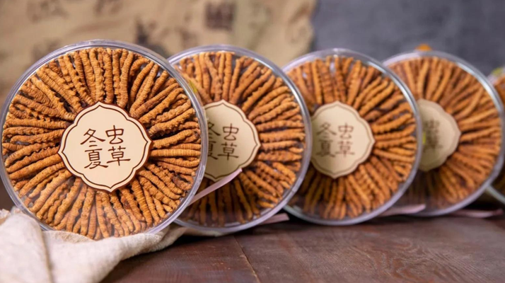 同仁堂<a href=http://m.sprysprout.com/chanpin/ target=_blank class=infotextkey>冬蟲夏草禮盒</a>：珍稀饋贈(zèng)，品質(zhì)之選