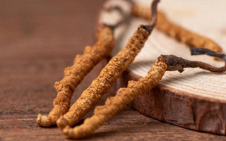 吃冬蟲夏草的好處有哪些？科學解讀這株"雪山黃金"的養(yǎng)生價值