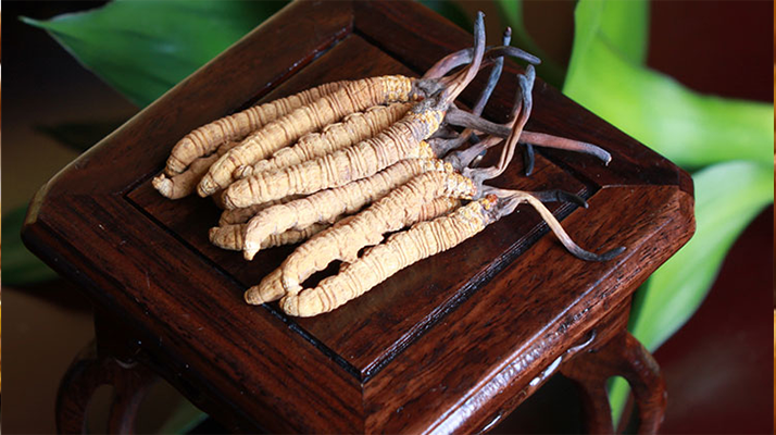 怎樣鑒別<a href=http://m.sprysprout.com/tag/6.html target=_blank class=infotextkey>冬蟲(chóng)夏草的產(chǎn)地</a>