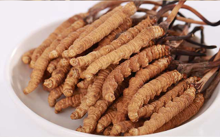 冬蟲(chóng)夏草煎水每次幾根