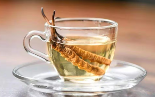 冬蟲夏草怎樣泡酒最好