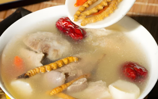 老人可以喝冬蟲夏草茶嗎？科學(xué)飲用的養(yǎng)生指南