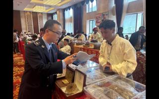 那曲“三維施策”護航蟲草交易規(guī)范發(fā)展