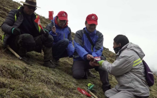 冬蟲夏草：把握最佳采摘季，守護自然饋贈