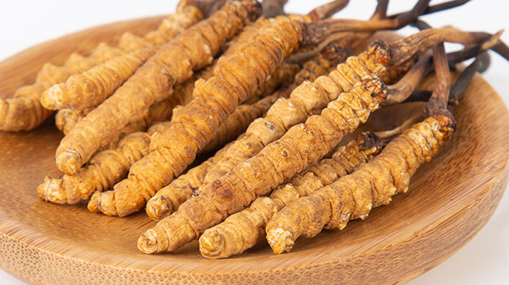 冬蟲夏草，真有那么大效果？