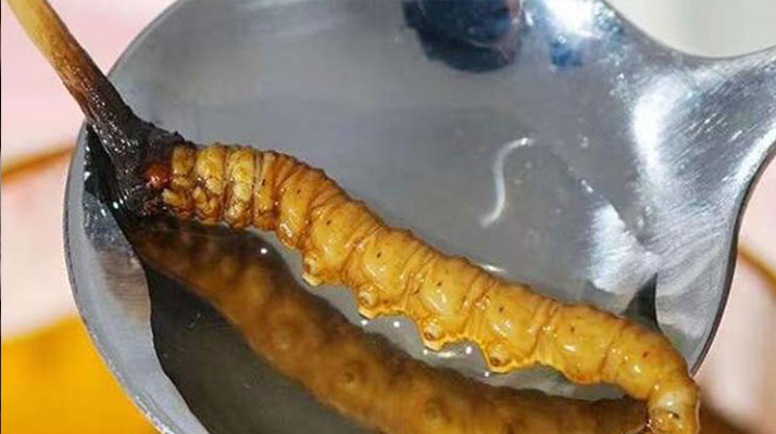 水煮鮮冬蟲(chóng)夏草：保留營(yíng)養(yǎng)的最佳做法