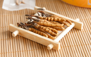 冬蟲夏草可以干燥存放嗎？科學(xué)儲存方法與注意事項