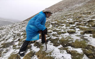 西藏挖冬蟲夏草在什么時候？產區(qū)與時間全攻略