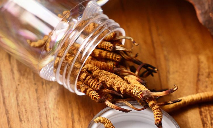 <a href=http://m.sprysprout.com/jiage/ target=_blank class=infotextkey>冬蟲夏草多少錢</a>一條