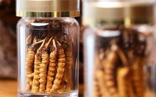 送冬蟲夏草給男孩子好嗎？分場(chǎng)景分析 + 送禮建議