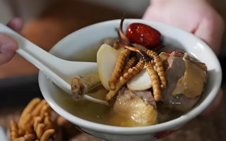 冬蟲夏草和什么一起燉可以治咳嗽？