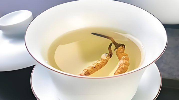 鮮冬蟲夏草可以煮水喝嗎？有什么功效和作用？